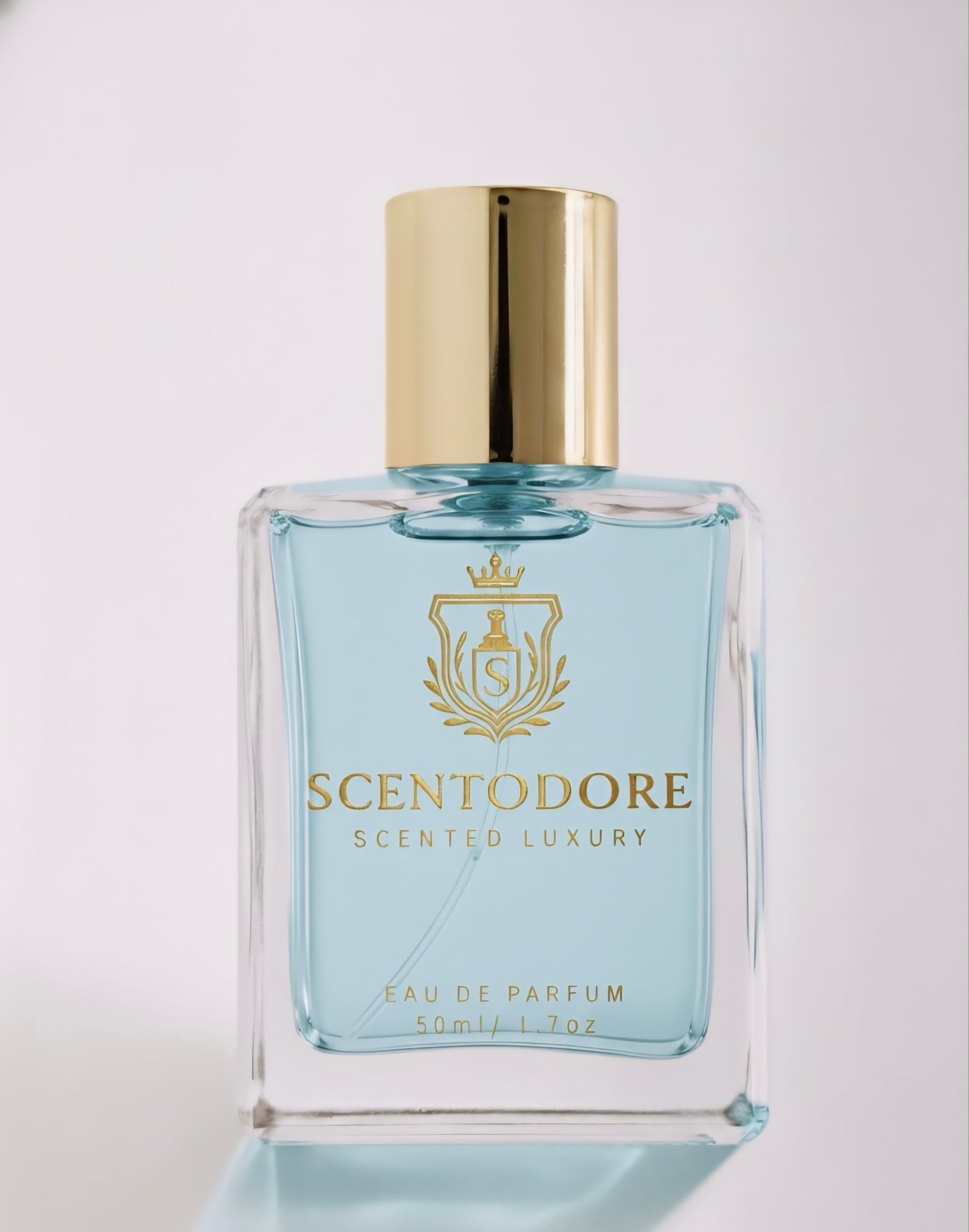 The Vision (Inspired by LV Imagination)